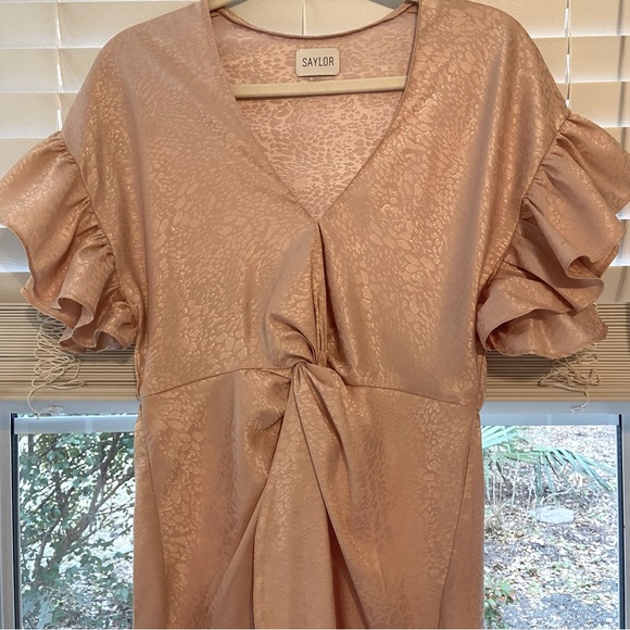 Saylor Ruffle Sleeve Mini Brookey Dress In Blush - Picture 4 of 7